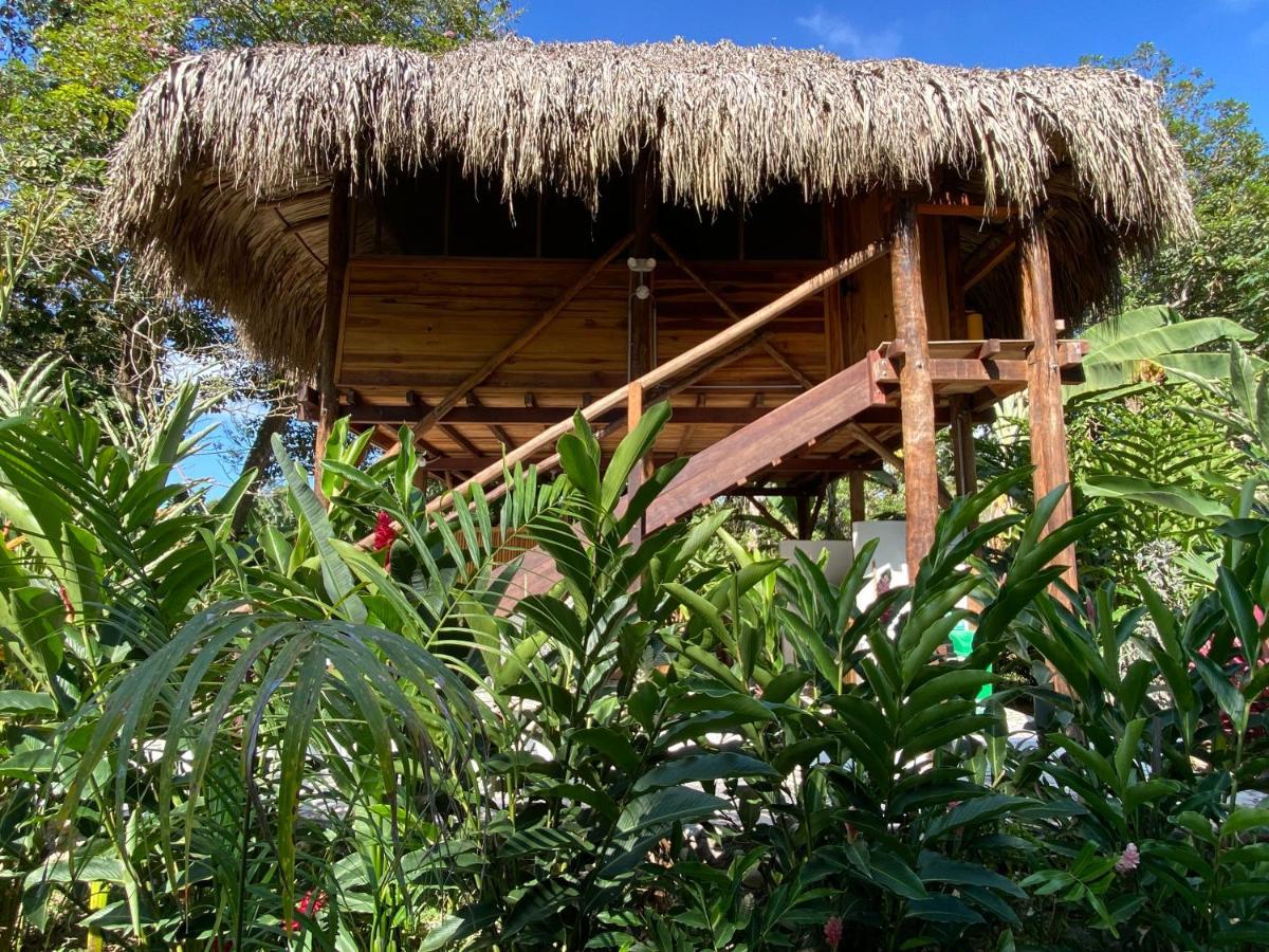 Salvia Madre Hotell Guachaca Exteriör bild