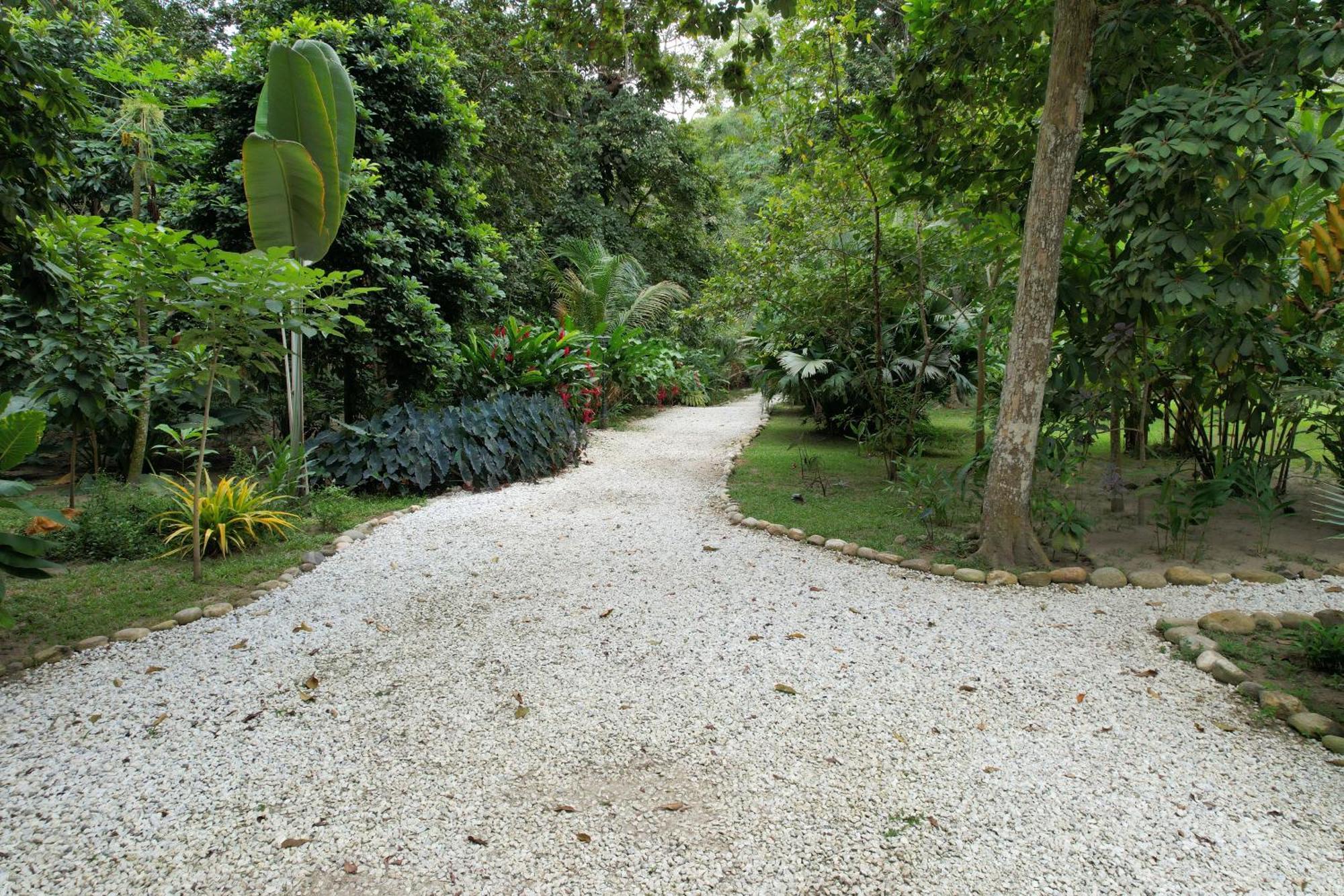 Salvia Madre Hotell Guachaca Exteriör bild