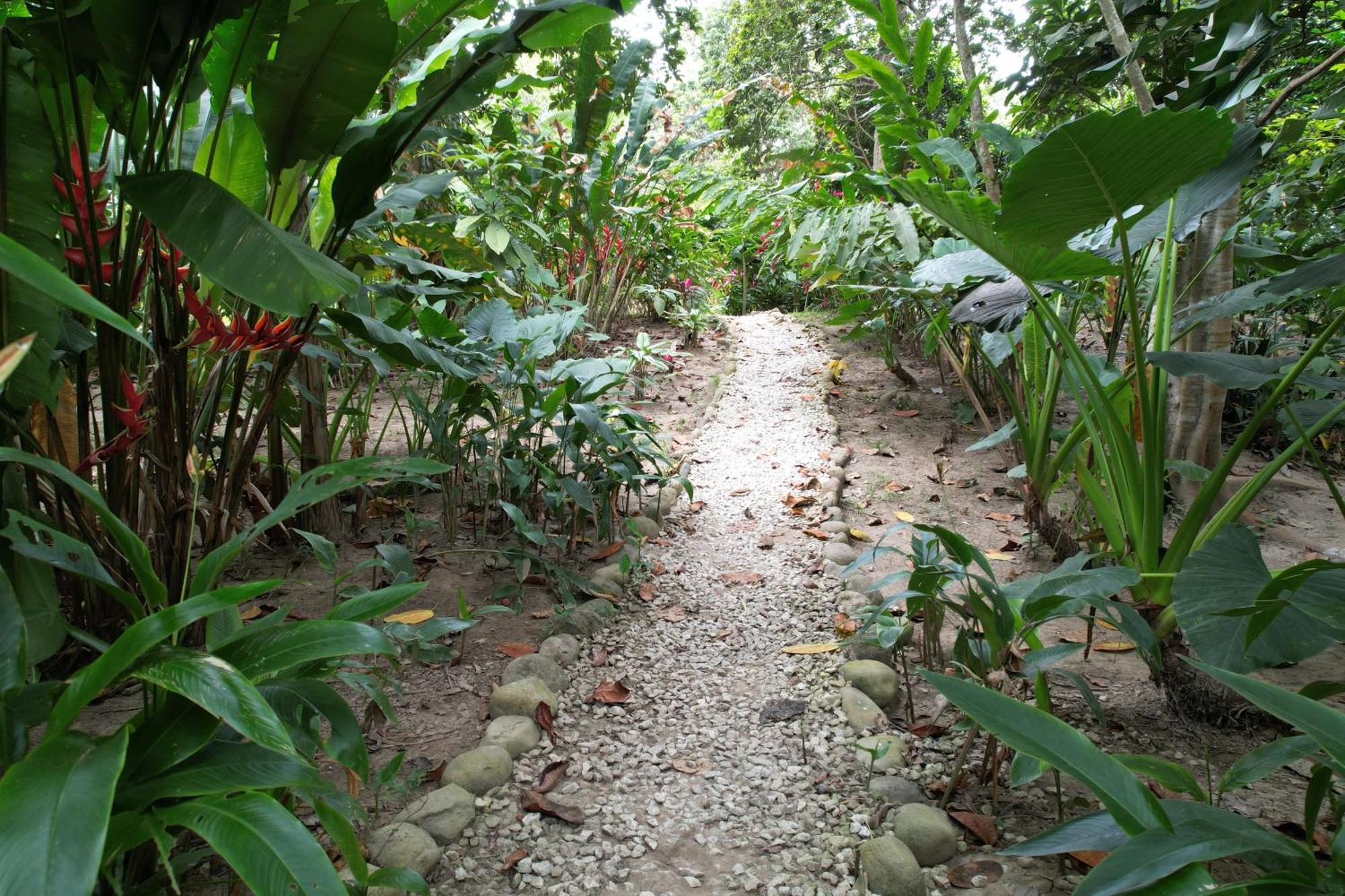 Salvia Madre Hotell Guachaca Exteriör bild