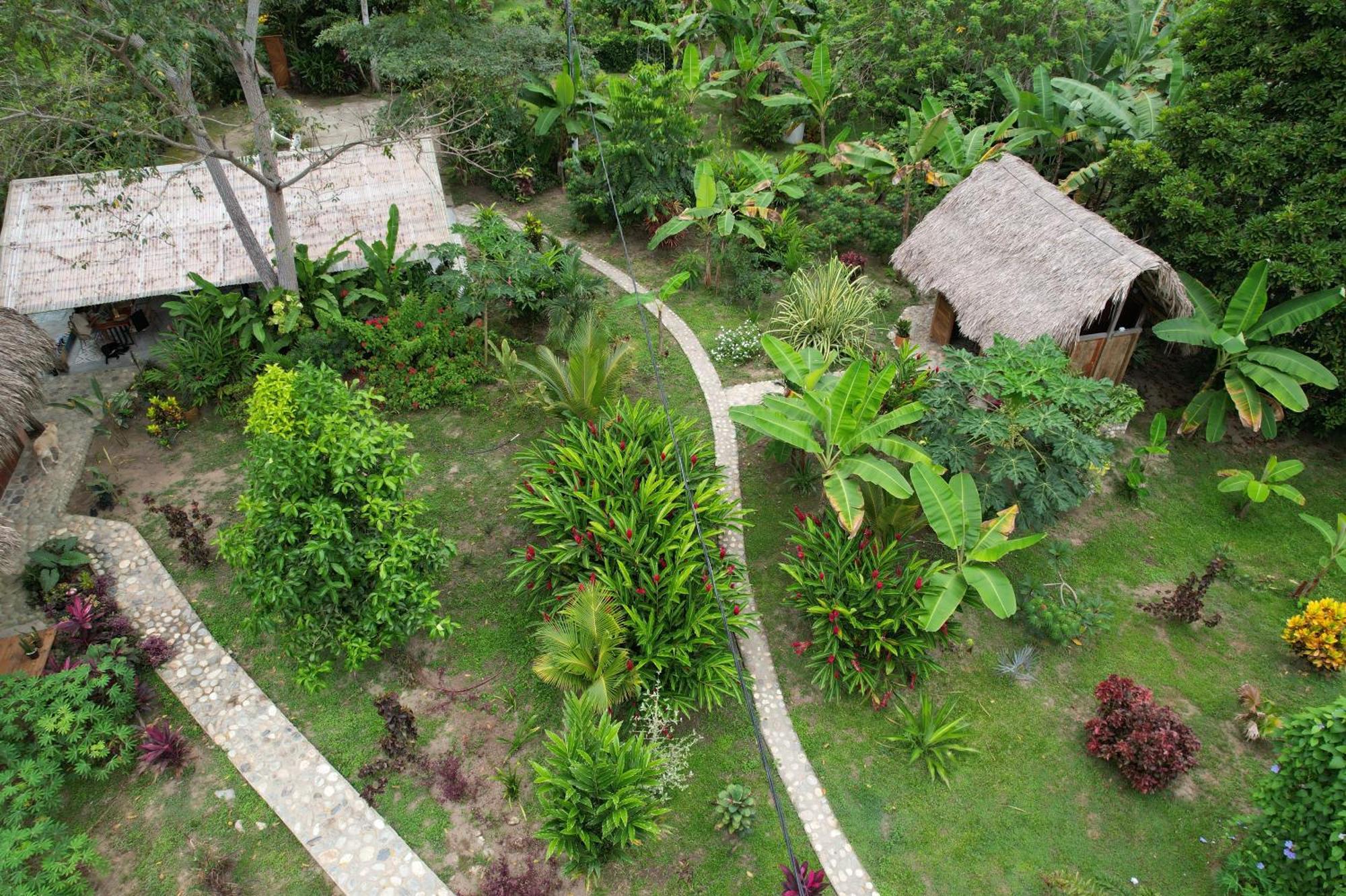Salvia Madre Hotell Guachaca Exteriör bild