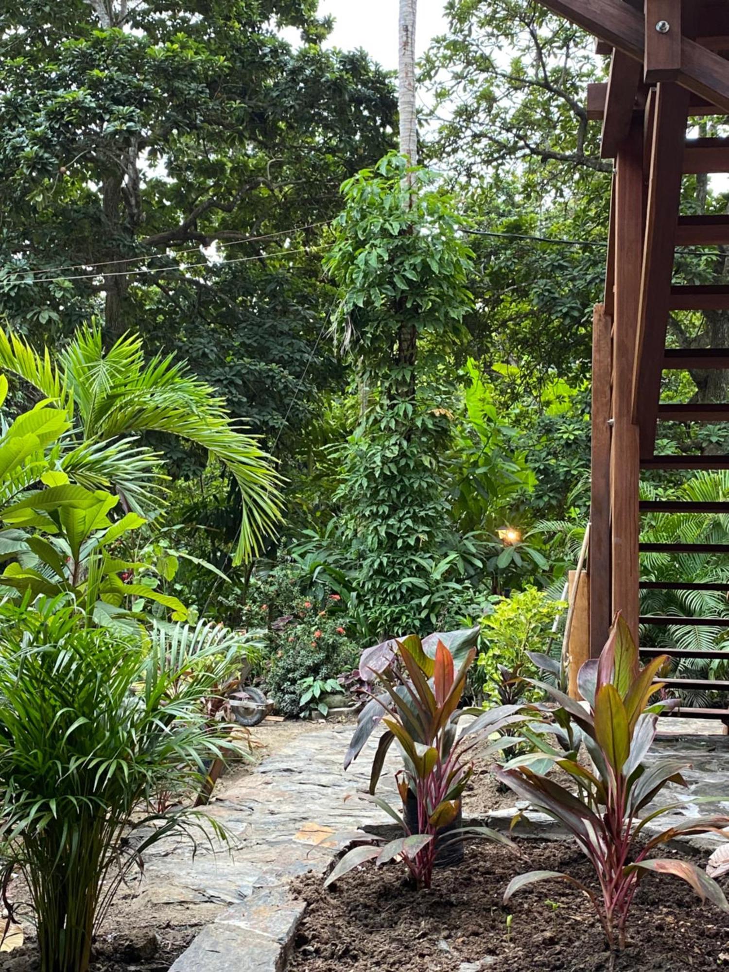 Salvia Madre Hotell Guachaca Exteriör bild