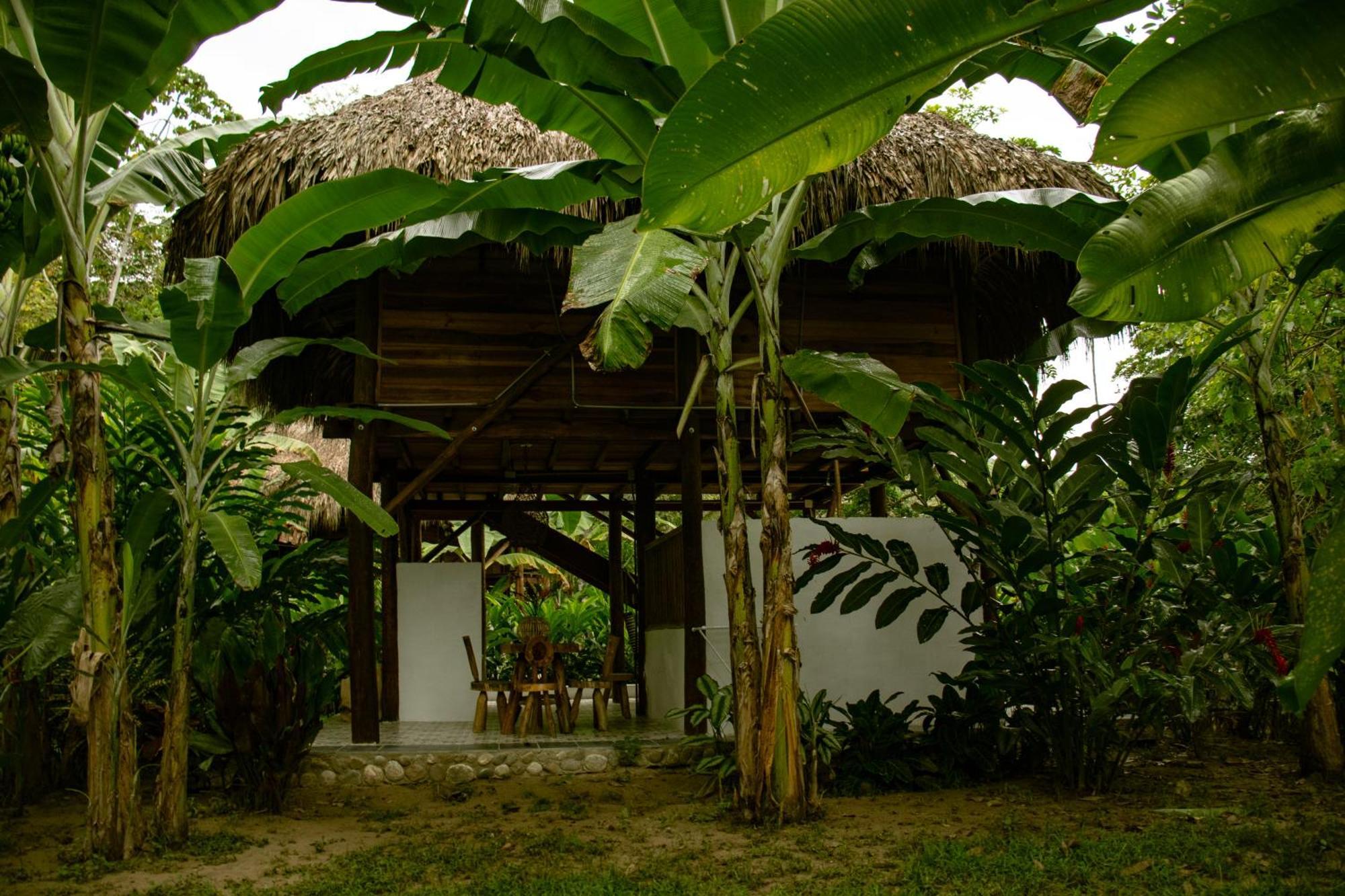 Salvia Madre Hotell Guachaca Exteriör bild