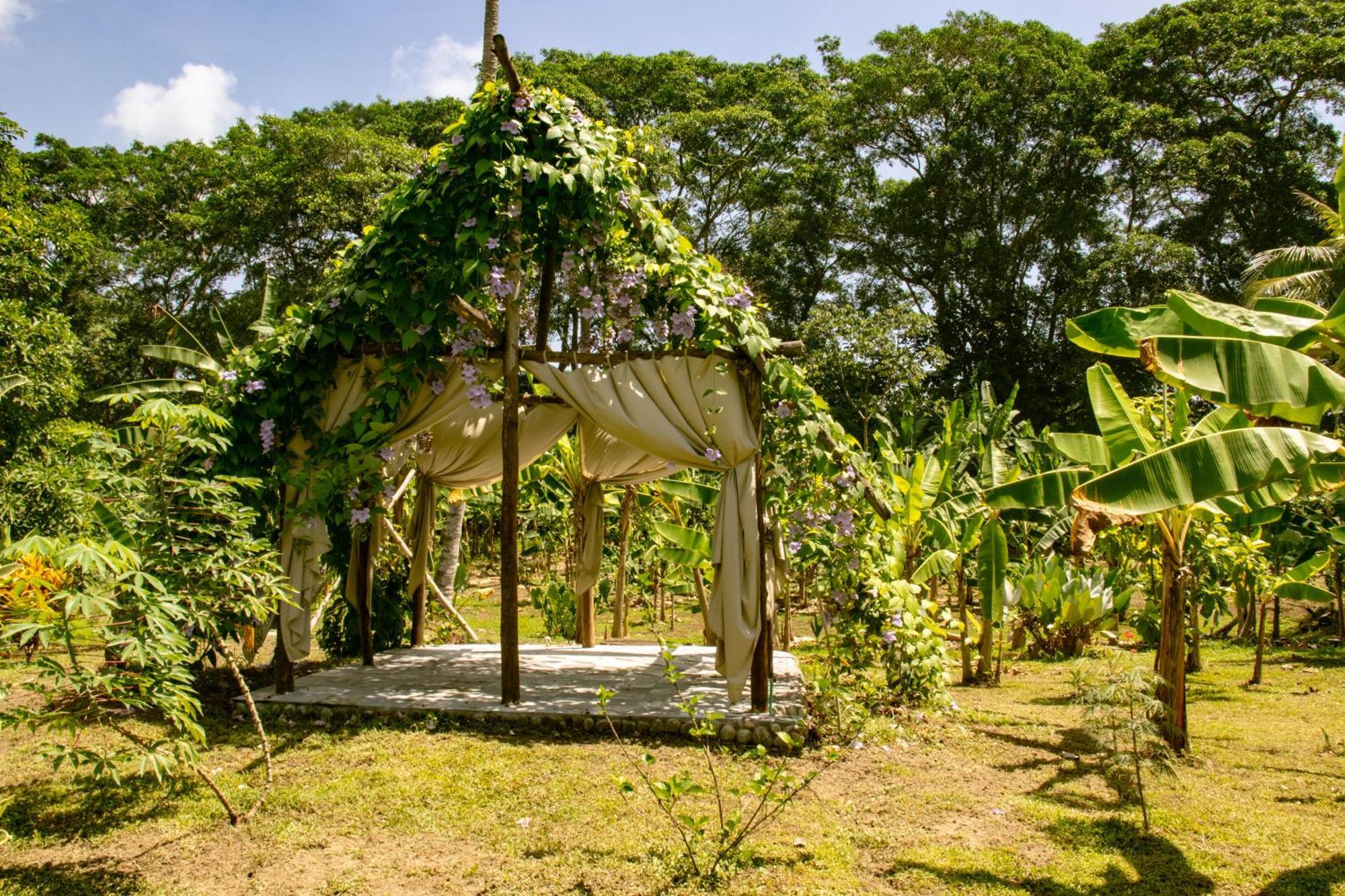 Salvia Madre Hotell Guachaca Exteriör bild