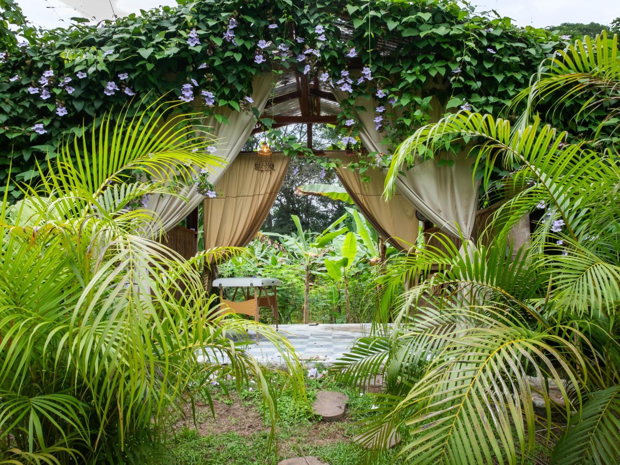 Salvia Madre Hotell Guachaca Exteriör bild