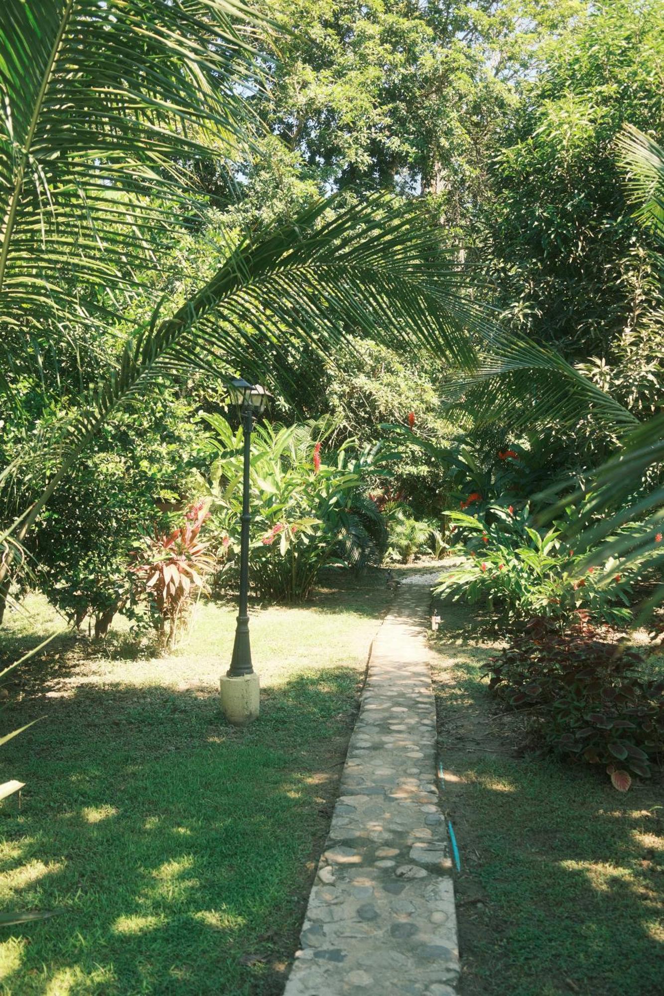 Salvia Madre Hotell Guachaca Exteriör bild