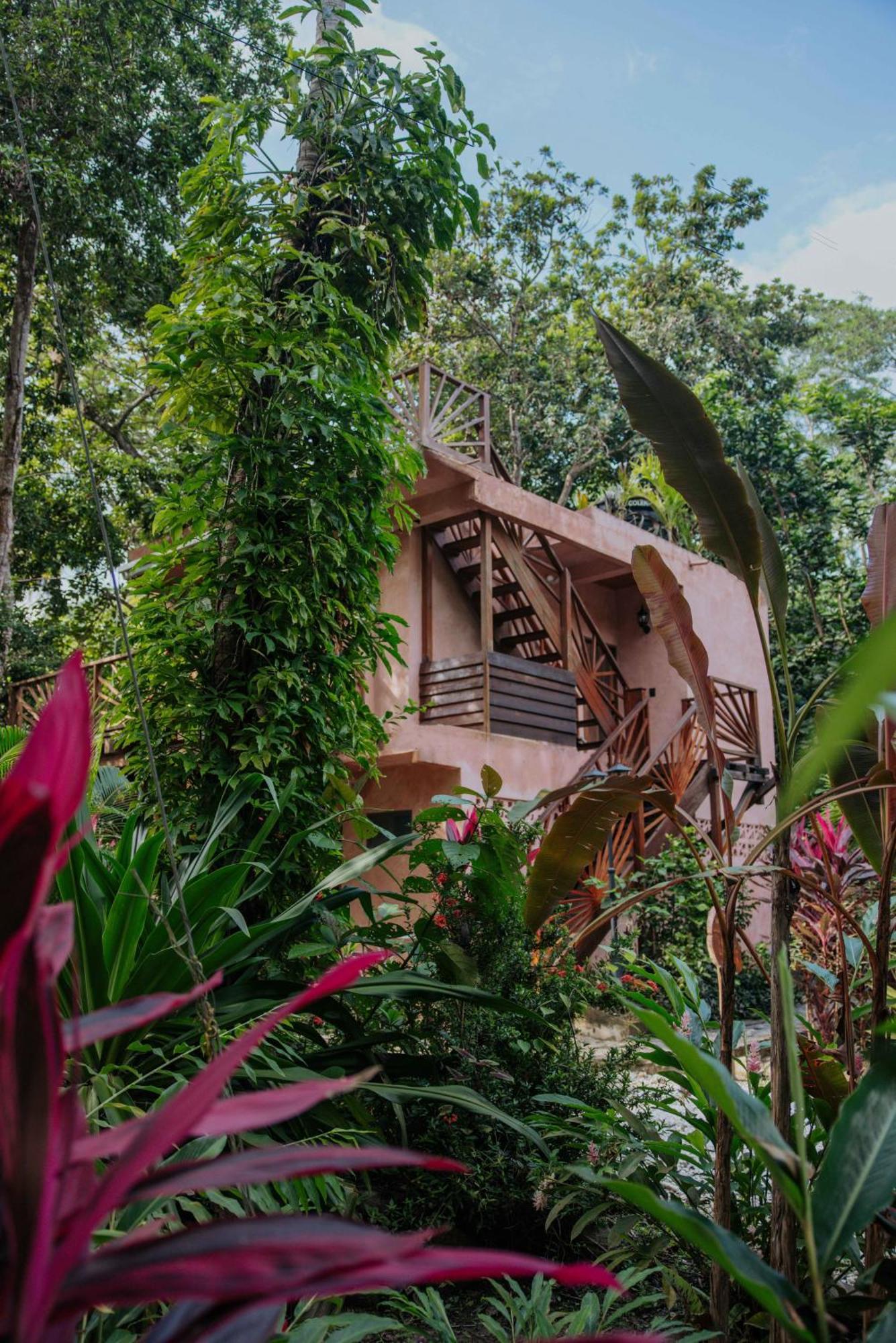 Salvia Madre Hotell Guachaca Exteriör bild